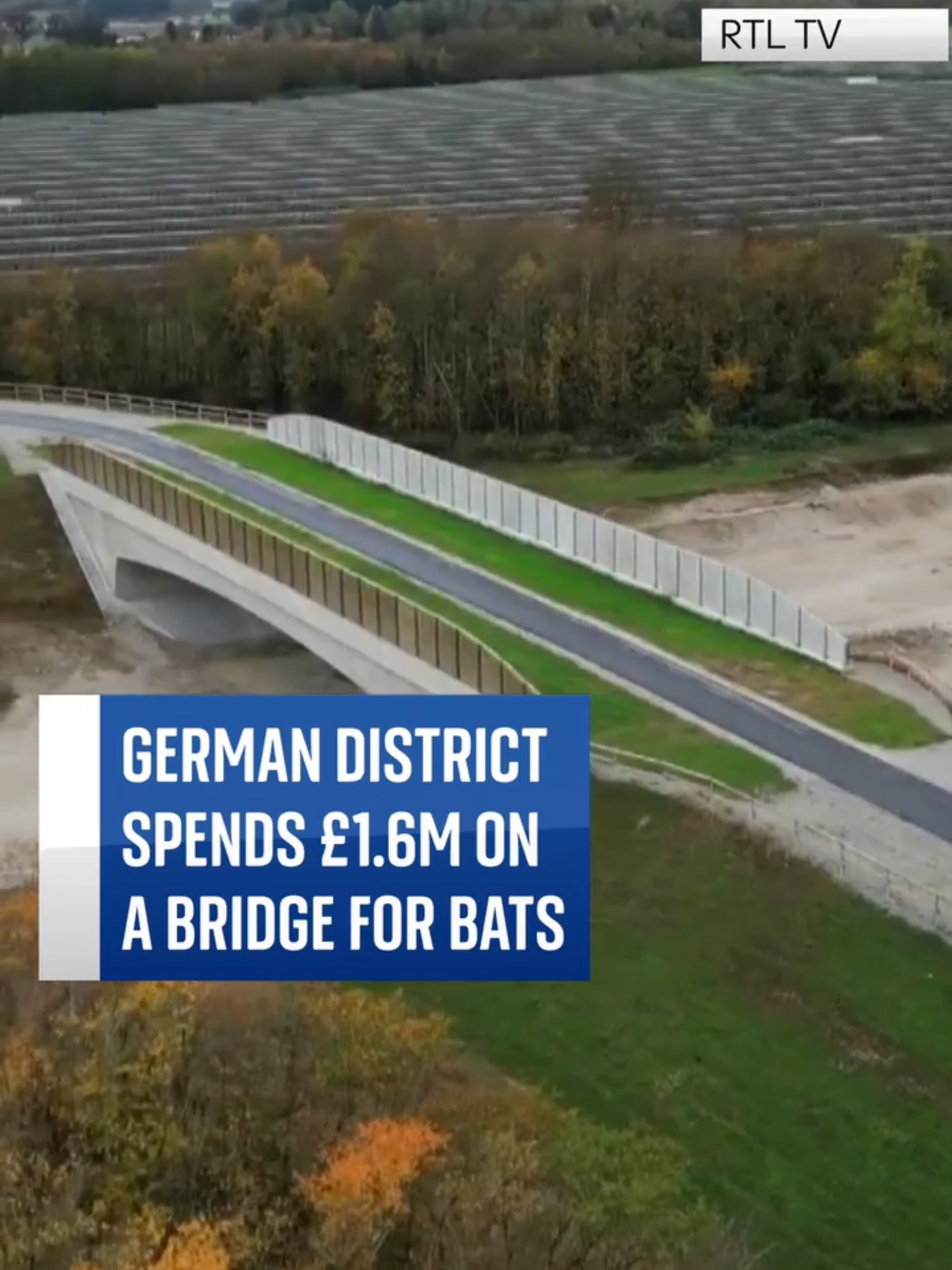 #Germany has spent £1.6m on a bridge to stop #bats landing on a new motorway