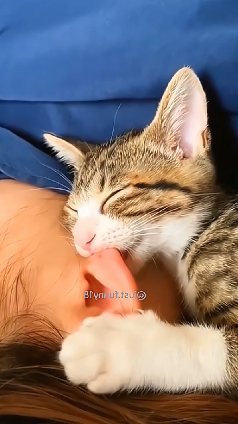 a sweet story about baby and cat 🥰❤ #funny #cat #fyp #catsoftiktok #funnycat #foryou #tiktok 