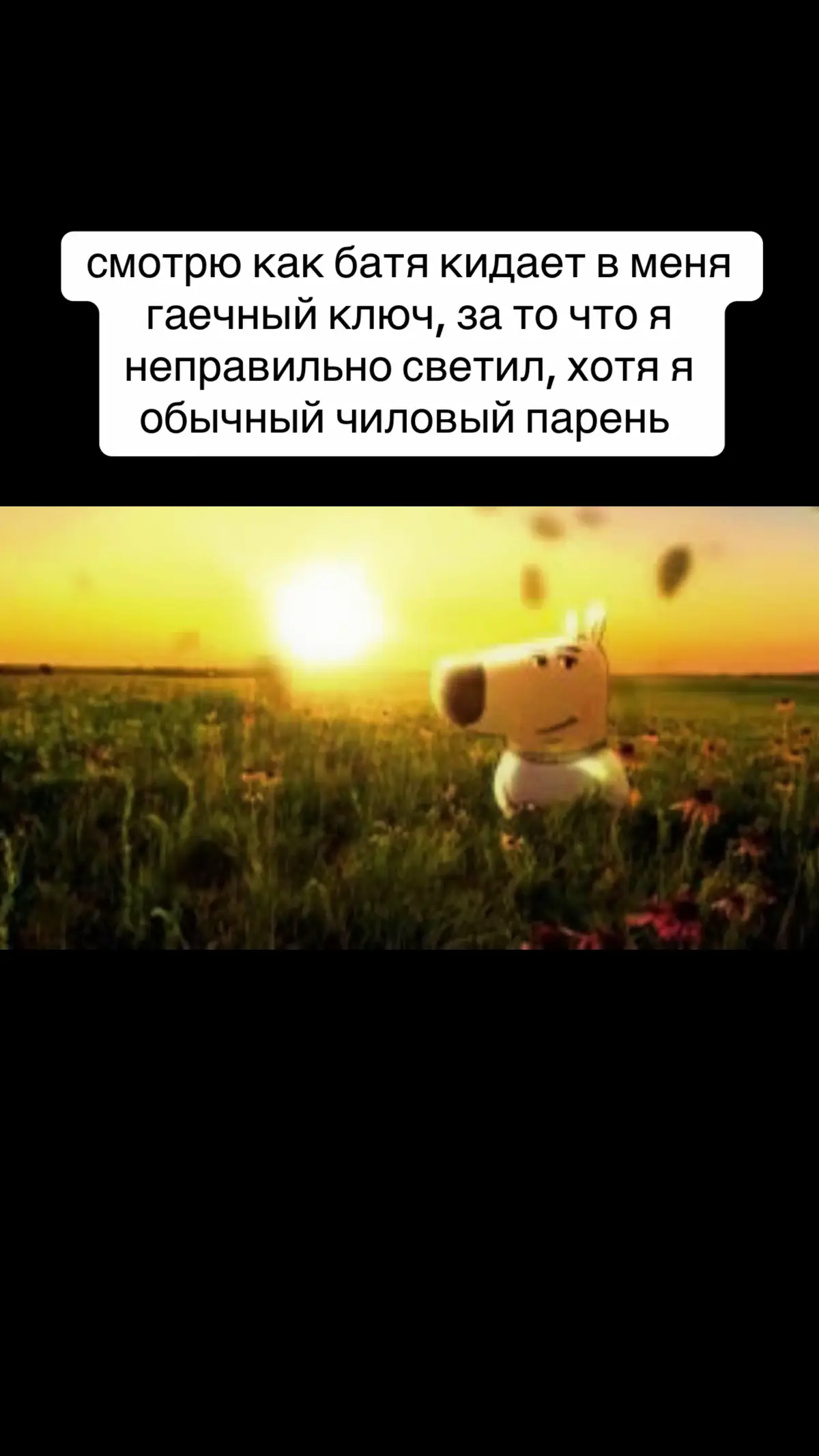 #чиловыйпарень 