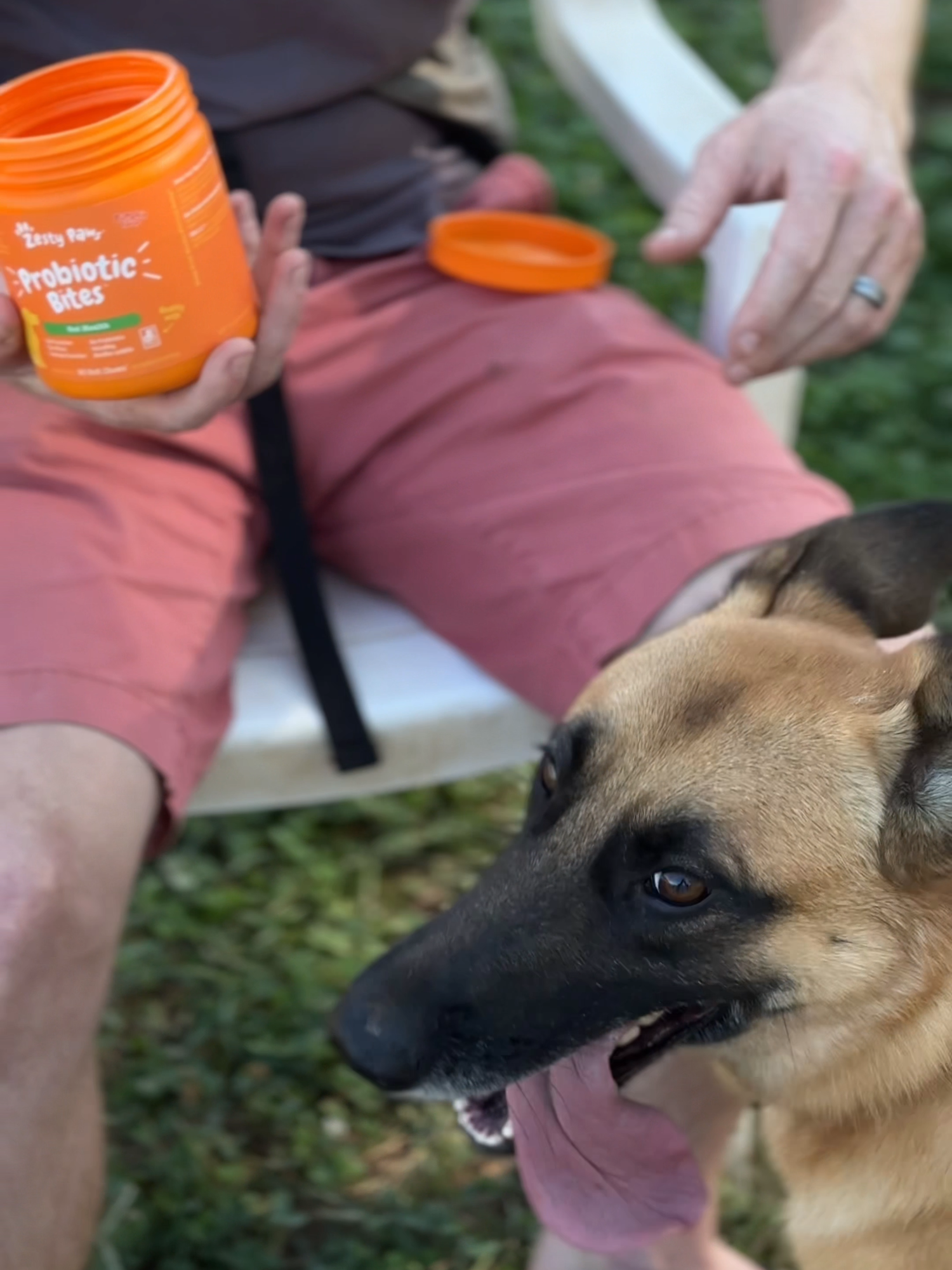 Less tummy troubles, more zoomies! Zesty Paws Probiotic Bites help to keep your pup’s digestion on track. 🐶✨#PetParent #DogWellness #PetCare #Dog #GermanShepherd