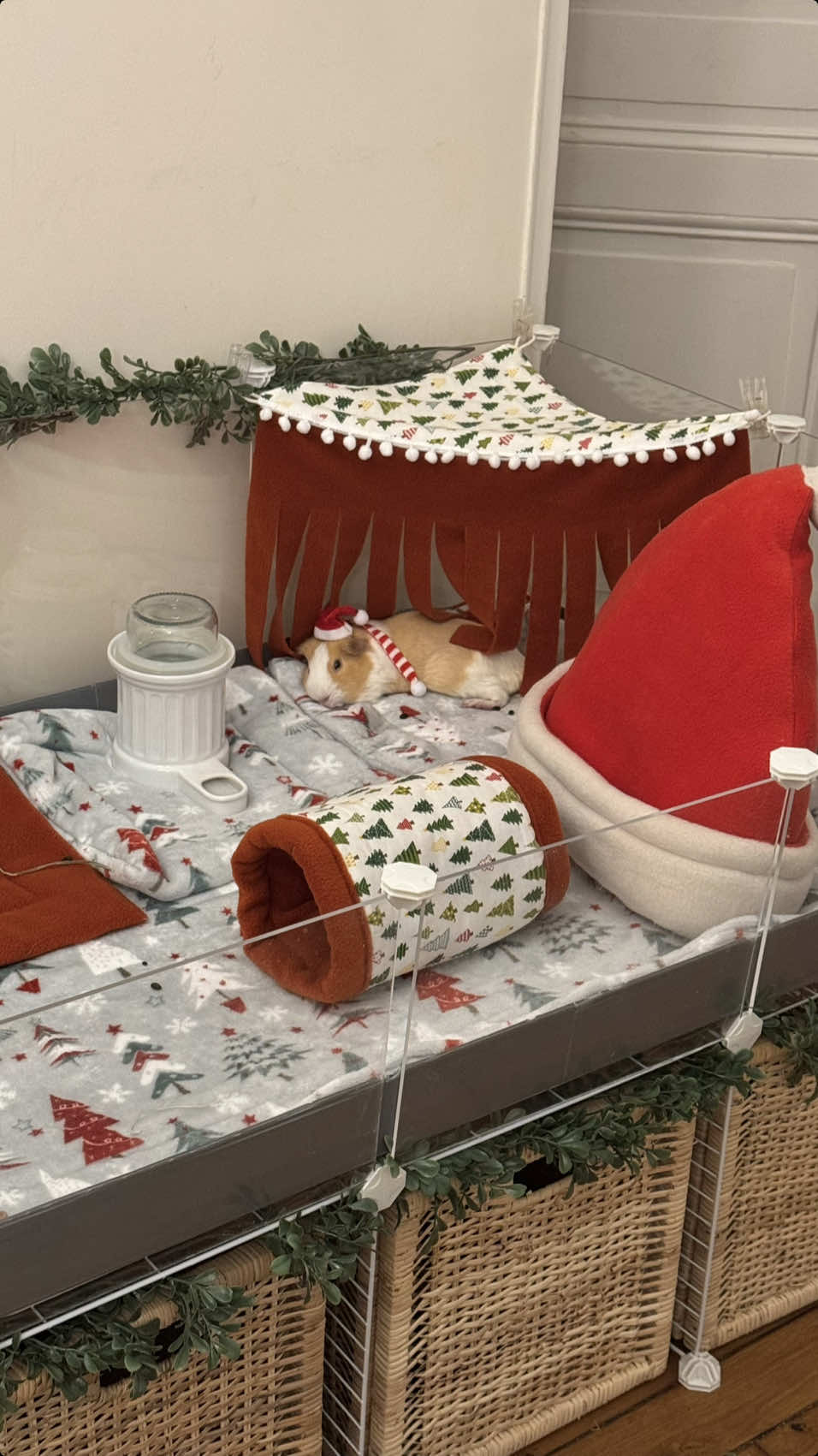 Who’s ready for pigmas?🎄🎁🎅 Christmas setup link in bio 🔗 #guineapig #fyp #foryou #christmas #cleanwithme #sephoraalışverişim 