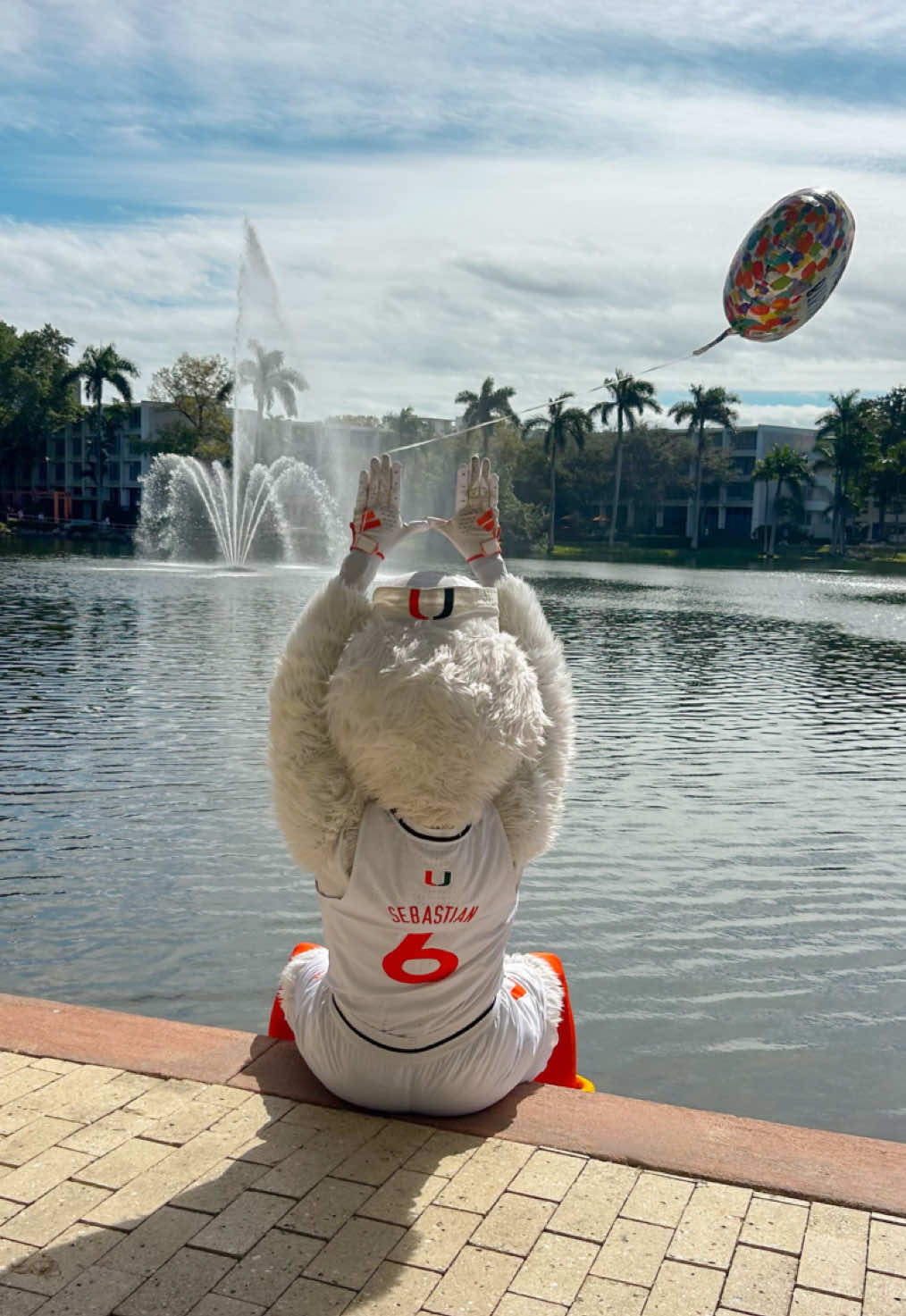 66 never looked so good! Wish @Sebastian the Ibis a happy birthday in the comments. #umiami #happybirthday #campuslife 