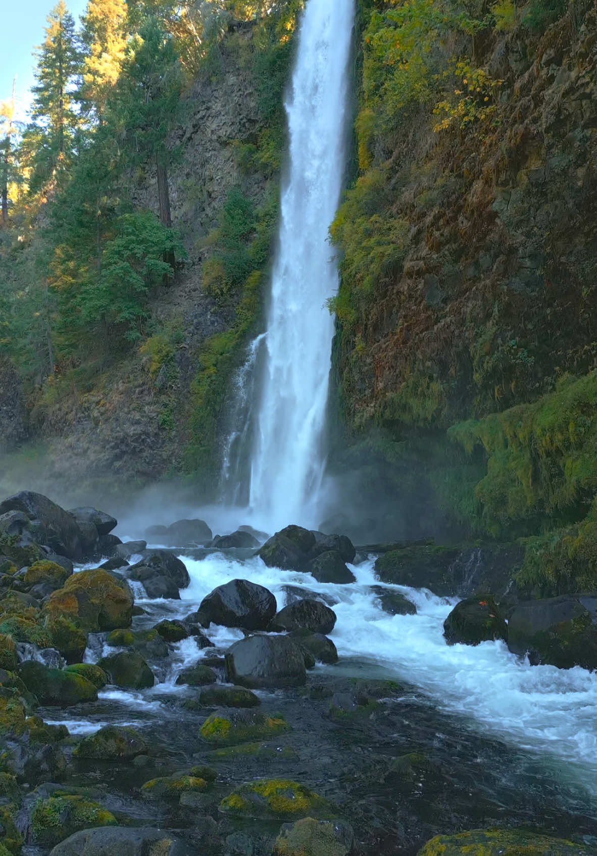 NEW Location Guide available for this incredible waterfall! PLUS an extra waterfall AND a bonus location! All on one short trail 😍 Follow the link in my bio/profile to see the full length video ☺️ #nature #Outdoors #cinematic #calm #waterfalls 