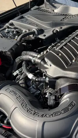 2024 Shelby Super Snake Mustang with a 830+ HP Supercharger🐍🤩 #shelby #shelbymustang #mustang #fordmustang #shelbyamerican #shelbysupersnake #supercharged #supercharger 