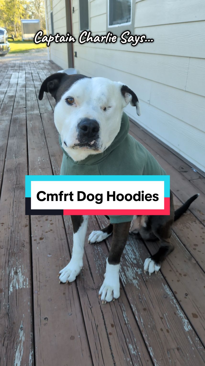 it's getting cold! Keep your furry friends warm and cozy with a Cmfrt Hoodie of their own. #doghoodie #cmfrt #pitbullsoftiktok #rescuedog  #titktokshopblackfriday #ttstakeover #giftguide #ttsdelight 