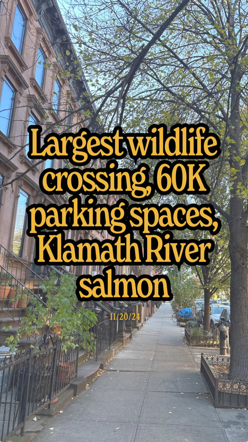 Let me tell you what’s going right today… 🦌 The world's largest wildlife crossing is spanning 10 lanes in LA, set to add native plants & safe passage for 100's of animals (Discover Wildlife) 🌳 Paris is replacing 60K parking spaces w/ trees to improve lives by prioritizing public transit, clean air & greenery (Bloomberg) 🐟 After the the largest dam removal in US history was completed on the Klamath River last month, at least 42 salmon egg nests have returned (AP) 💼 Today’s community win comes from virtuevix who started working at the New York Immigration Coalition to help train nonprofits to better help immigrants through the legal system. What else? Credits: Researched & created on my own. Story details in my weekly newsletter. Music by Tristan Arostegui & Hunter Hanson. If you enjoyed, please spread the word to someone you love :)