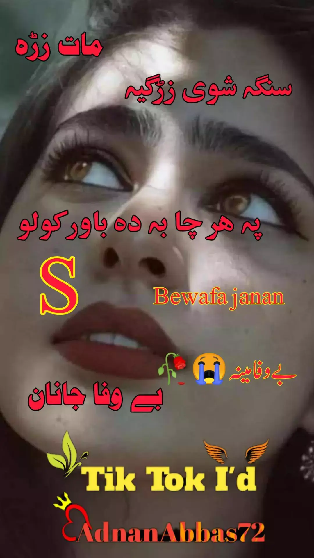 سنگہ شوی زڑگیہ پہ ھر چا بہ دہ باور کولو#مات_زڑہ💔🥀😒 #bewafa_janan💔😭💔😭 #بےوفاجانان🔥💔 #adnanabbas72 #سزائےعشق💔 #انپے_نام_کی_ویڈیو_بنانا_کیلےکمینٹ 