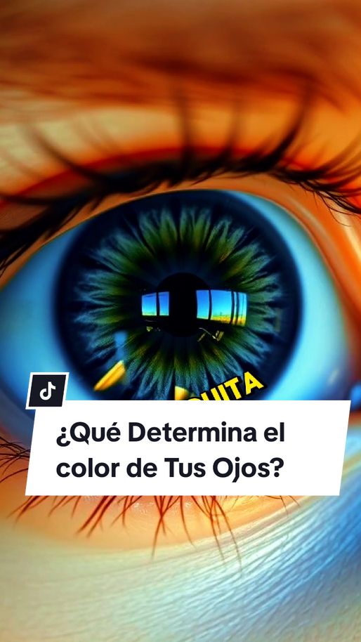 ¿Qué determina El color de nuestros Ojos? Te lo explico en 60 segundos!!! #cienciatiktok #biologia #ciencia #cienciafacil #biologiafacil #cienciaentiktok #cienciaentiktok #datoscientificos #cienciaparatodos 