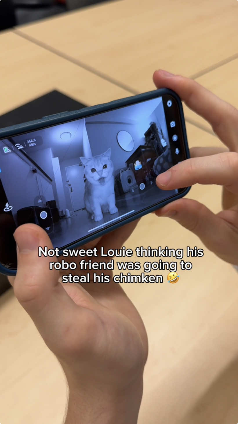Their meows when I leave are heart wrenching 😭 Since my wife is gone most of the day and Louie has separation anxiety, I decided to get them @Enabot’s ROLA PetPal to entertain them when we’re not home. Whenever I’m away during the day I use the robot to treat & play with them remotely. 🔗You can get 10% off enabot’s AI pet robot companions with code LOUIETODD using the link in our bio ❤️ #enabotpartner #catlife #cats #lifewithcats #meowing #sadcat #catdad #catmeow #catproducts #catfun #catparent #rolapetpal #enabot