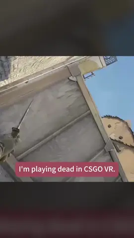 Smartest Tactic in CS2 VR 😆 #cs2 #fyp #counterstrike #cs2funny #cs2memes #cs2moments 