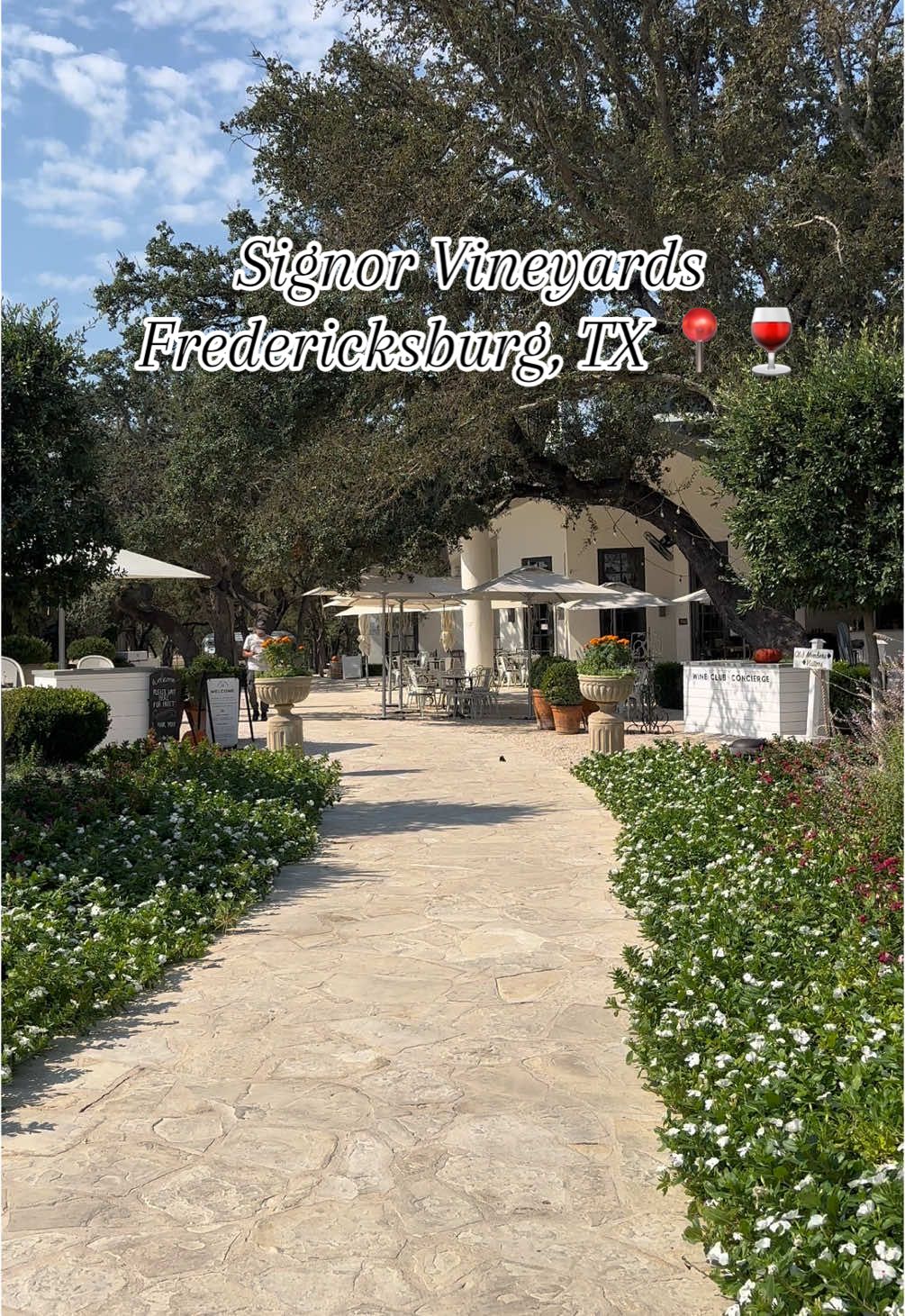 Signor Vineyards, located in Fredericksburg, Texas 🌟 The MOST BEAUTIFUL VINEYARD! 🍷🌿 Explore 200-acres of stunning views, enjoy tastings, indulge in famous charcuterie boards, sip at the iconic wine bar, and shop at Joanna's Market. 🧀🍇 A must-visit destination! #SignorVineyards #FredericksburgTX #TexasHillCountry #WineTasting #VineyardViews #CharcuterieLovers #JoannasMarket #WineBar #MustVisitTexas #HillCountryAdventures #BeautifulDestinations #FoodieFinds #WineryLife #HeavenlyHosts #HeavenlyHostsVacationRentals #luxuryvacation #fbgtx #VacationHomes @Signor Vineyards 