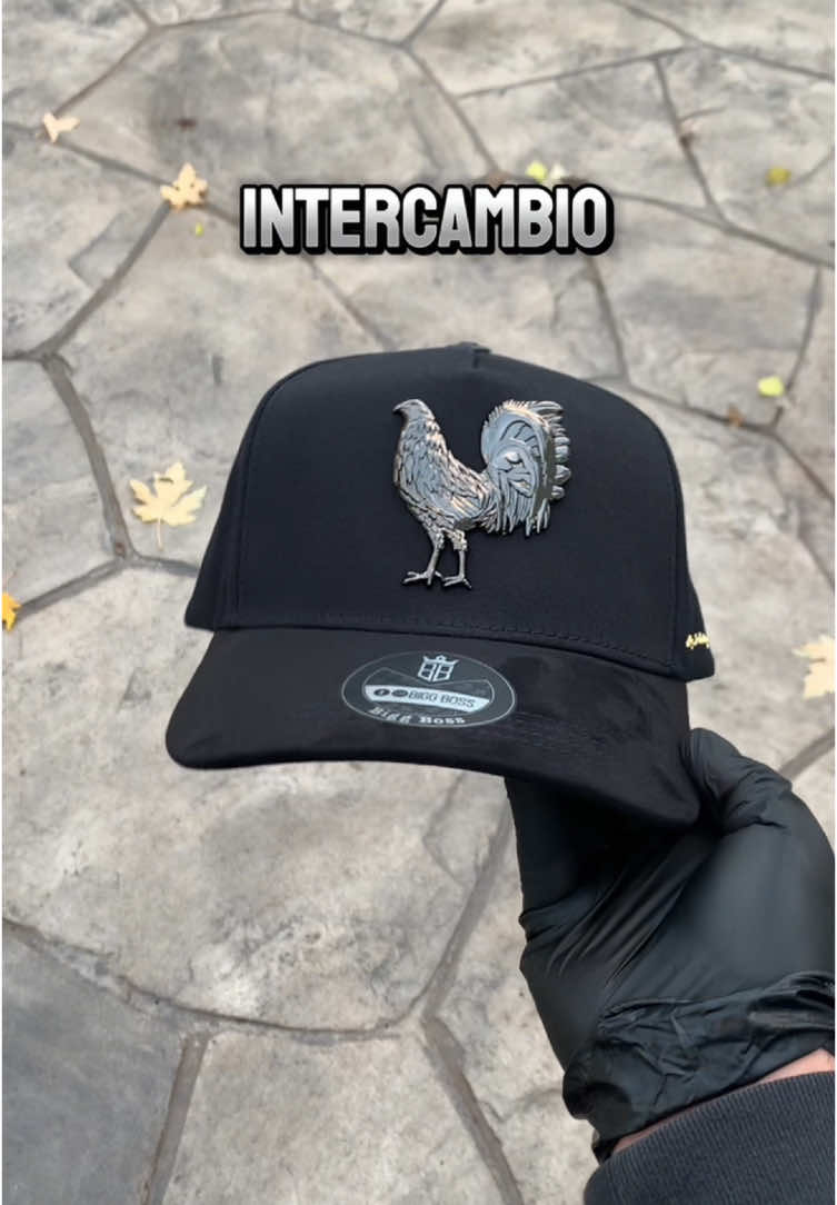 En nuestro perifil donde dice tienda ahi tenemos muchos modelos 🧢 #sale #viralvideo #hats #gorras 