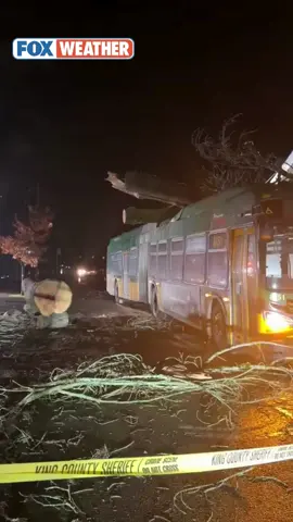 🌳TREE DOWN: Strong winds from the bomb cyclone in Seattle caused a tree to fall on a King County bus. Crews worked in the dark to get the tree out of the way on Wednesday morning. #seattle #bombcyclone #foxweather #