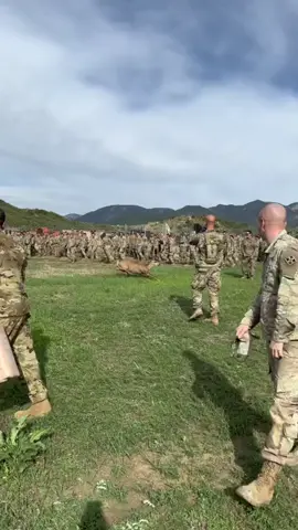 #viralvideo 