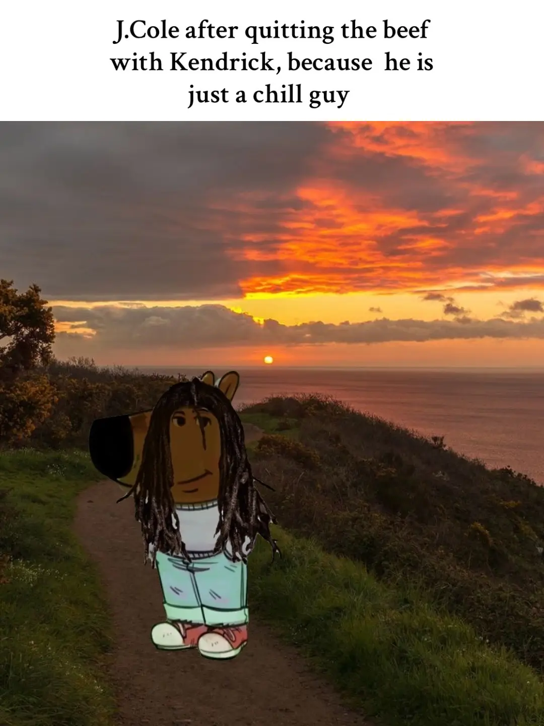 I love this trend #Jcole #music #chillguy #humble #rap #norolemodelz #nature #sunset #mindset #chillguymeme #grateful #Love #life #media #fyp #fy #foryou