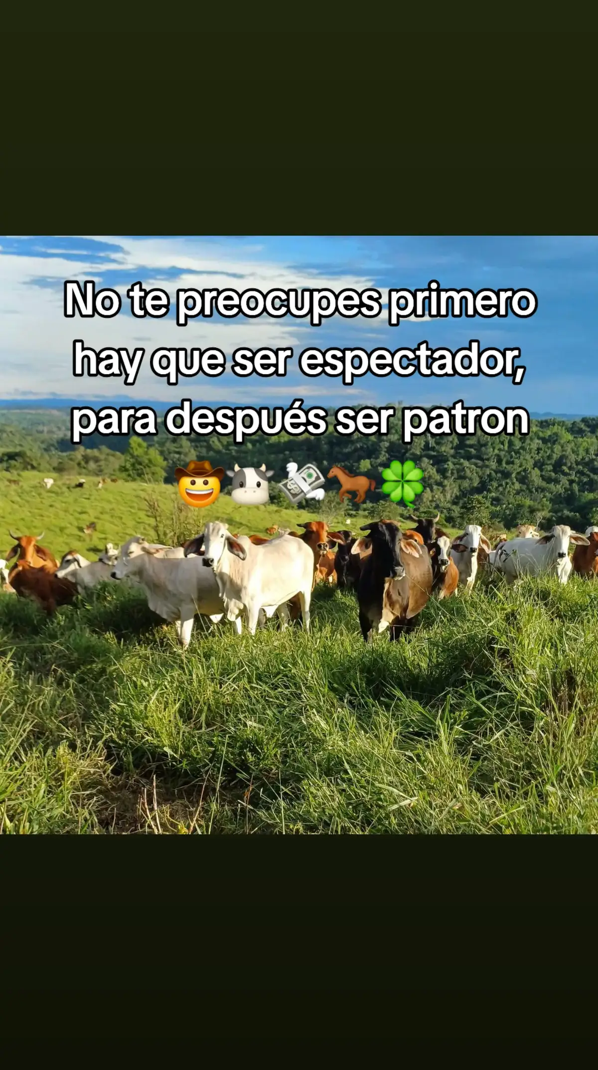 #nunca dejes de soñar#palabras sabias#😎viiiiiiiiiralparatiiiiíiiiii_🤠🐮📿💸🍀 #fryoupage 