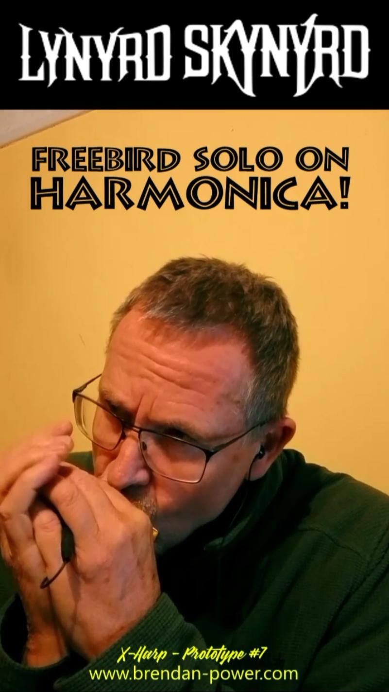 This iconic guitar solo is quite a challenge on harmonica - not just the speed, but playing its signature repeating motifs with good rhythm. Here I'm using a unique experimental harp to follow Freebird's intricate twists and turns.  #foryou #bluesharp #fyp #harmonica #blues #music #rock #rockguitar #guitar #electricguitar #leadguitar #lynardskynard #freebird 