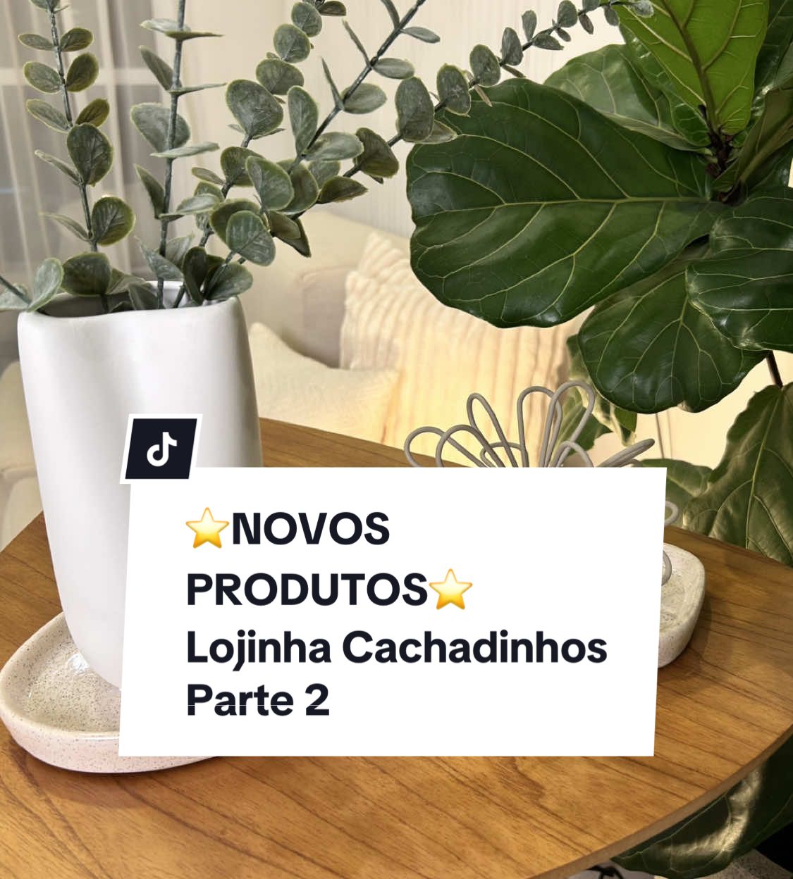 NOVOS PRODUTOS - PARTE 2 Nossa Lojinha Cachadinhos na Shopee está com novos produtos e uma linha de ceramica linda! . . #achadinhos #achadinhosshopee #decoracao 