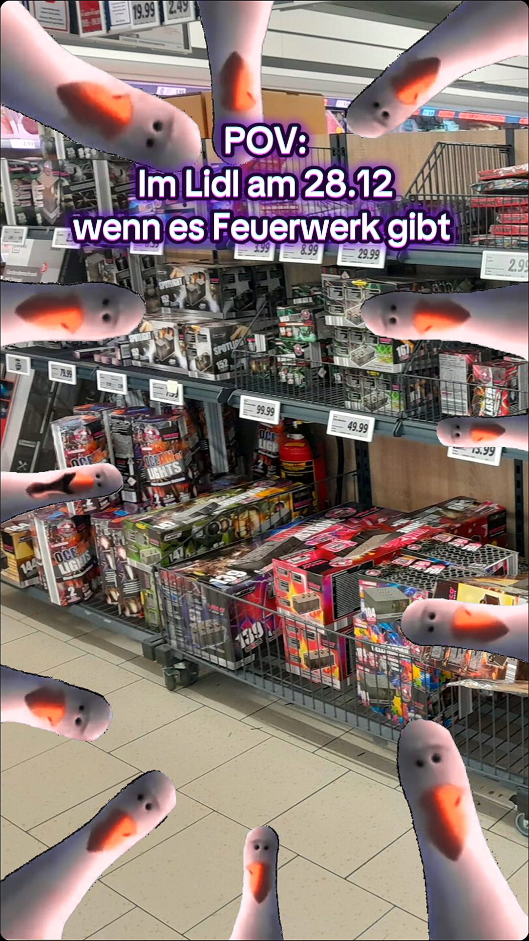 #CapCut #MemeCut #Meme #pyro #pyrotechnik #silvester #feuerwerk #einkaufstour #fürdich #foryou #foryour #fyp #feuerwerkmemes #pov #lidl 