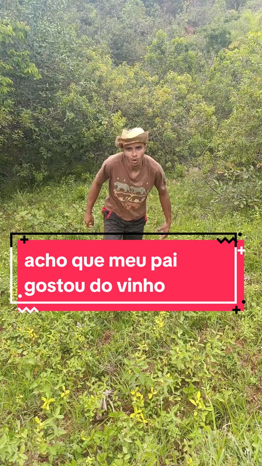 acho que meu pai gostou do vinho #comedia #tiktokviral 