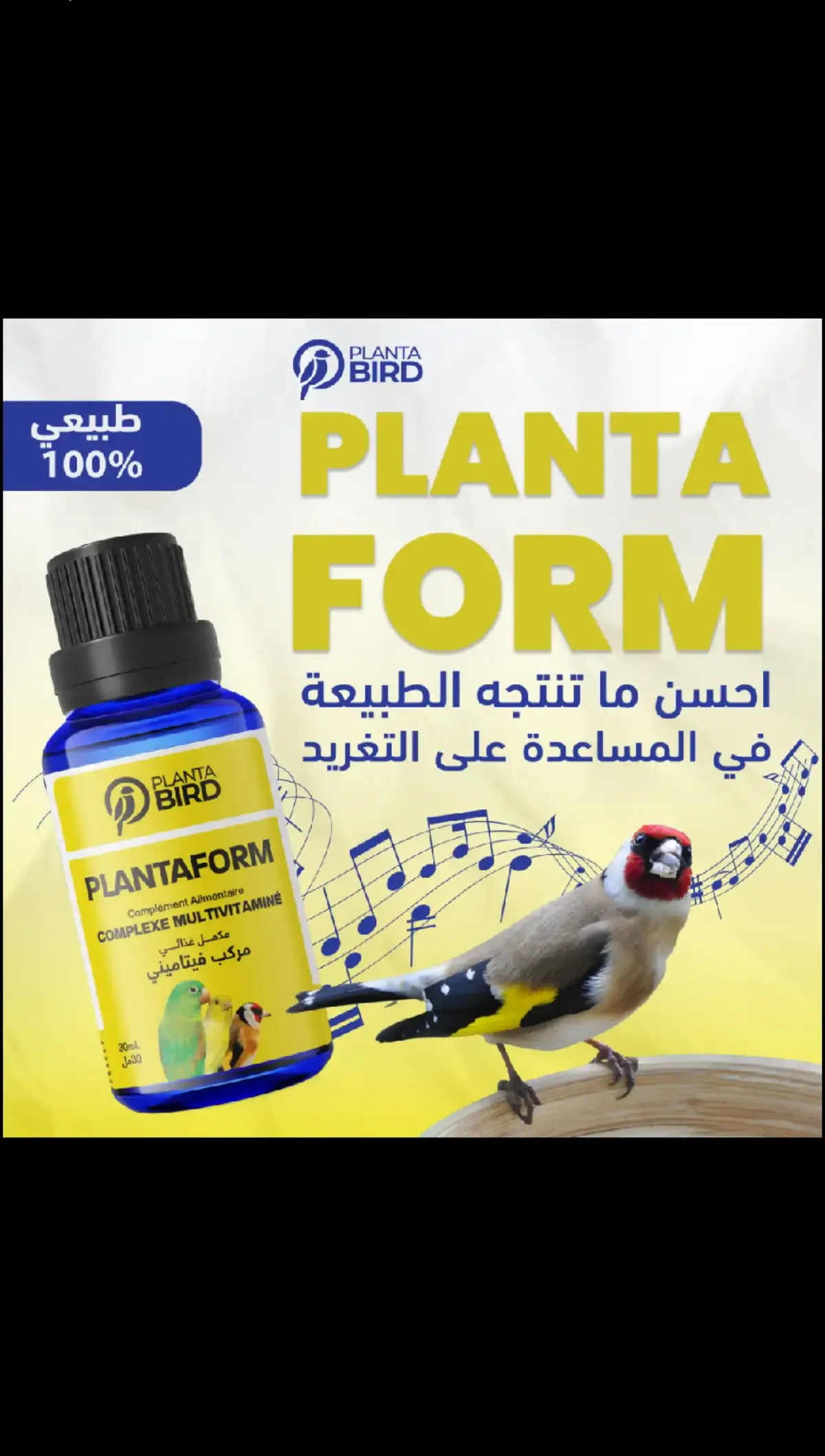 pour le chant un multi vitamines 💯 naturel #الحسون_التونسي #الحسون_الجزائري #chardonneret #oiseaux #bird #الحسون_في_السلاكة #canaries #الطيور #ادوية_بيطرية 