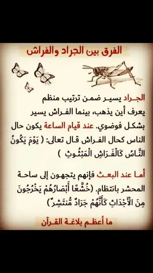 #القران_الكريم #تدبر_آية #اللغة_العربية #الأدب_العربي 