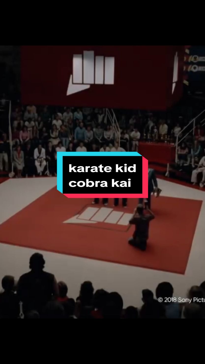 Karate Kid - Cobra Kai... . . #karatekid #cobrakai #seriesnetflix #clasicos #movies #netflixseries #parati #fyp #series #pelea #karatekid1984 #cobrakai 