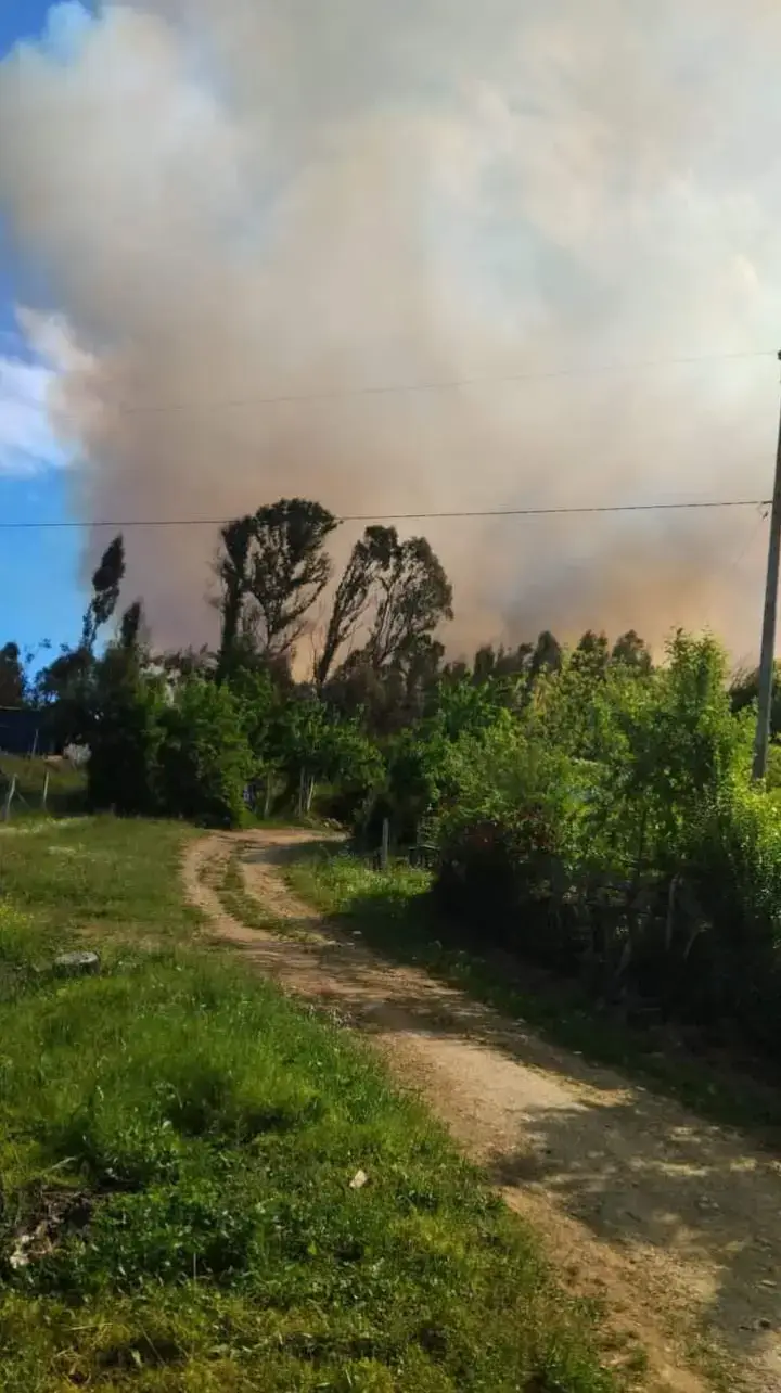 Incendio forestal  🚨En Alerta Amarilla comunal fue declarada Cholchol, debido a un incendio forestal que se mantiene activo y con una alta velocidad de propagación. 📌3,5 hectáreas de pastizales, matorrales y plantaciones de pino son las que preliminarmente ha consumido el fuego del incendio forestal Launache, reportado durante la tarde de este miércoles.