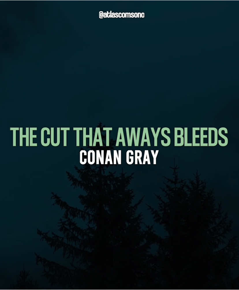 the cut that aways bleed | #thecutthatalwaysbleeds #conangray #songs #lyrics #viral 