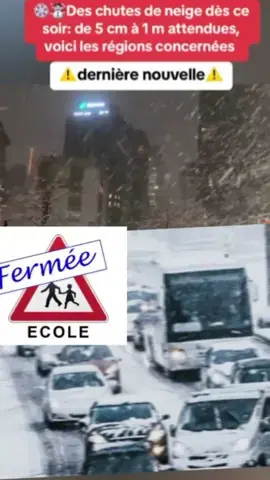 #france🇫🇷 #france🇫🇷 #actualités #paris l'arrivée de la neige en France est imminente,