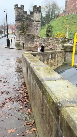 He’s either not all there or his fur’s too thick to feel the rain 🤣#pantsthecat 