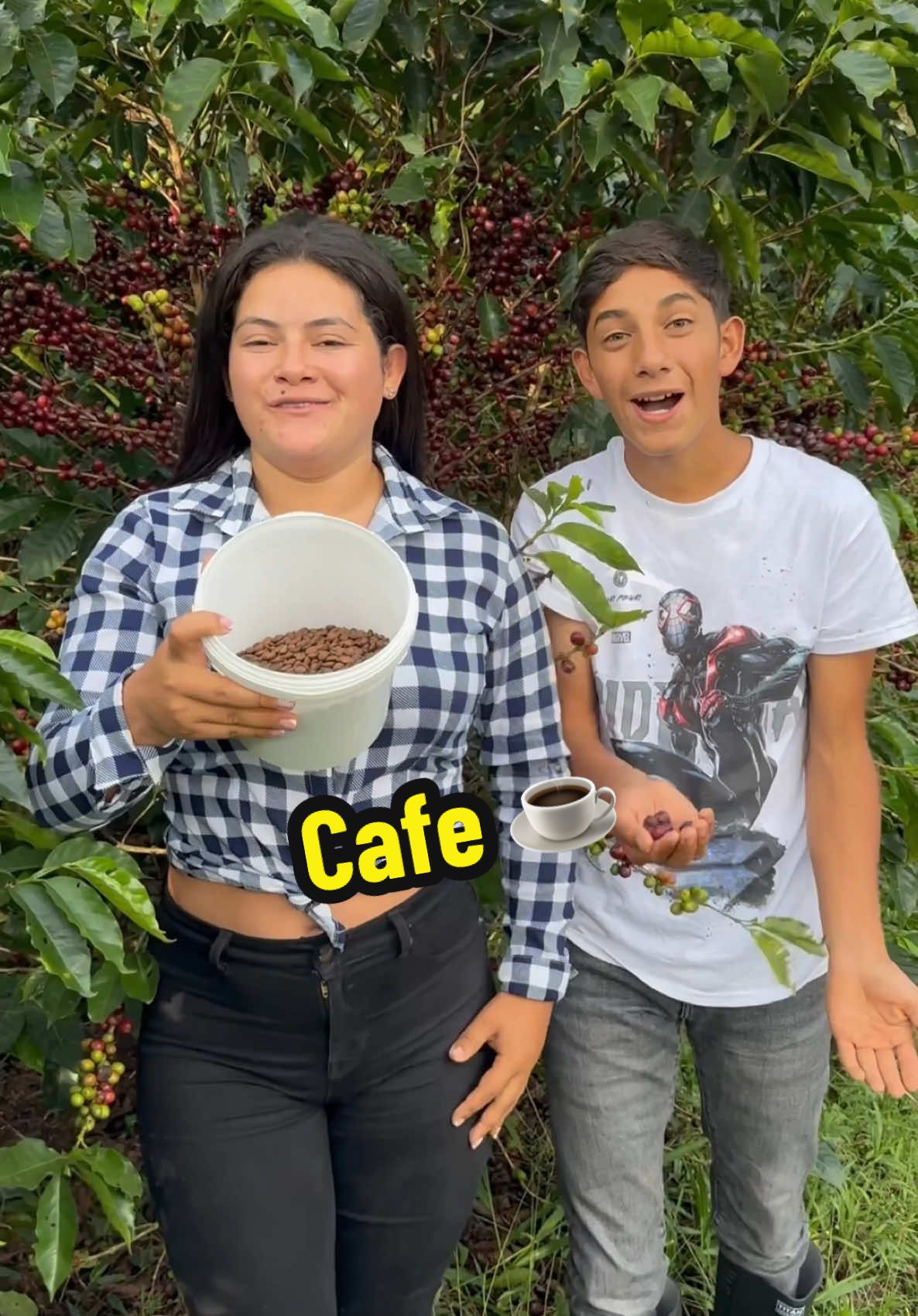 Asi se cultiva el cafe en el campo ☕️