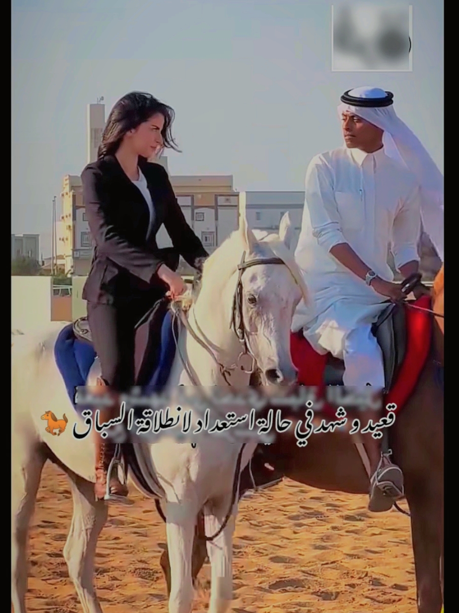 #قعيد #شهدالشمري #قعيدالمجد #خيل_وخياله🐎 #@sh7azi_ @ابراهيم القرشي @خزام 🇸🇦