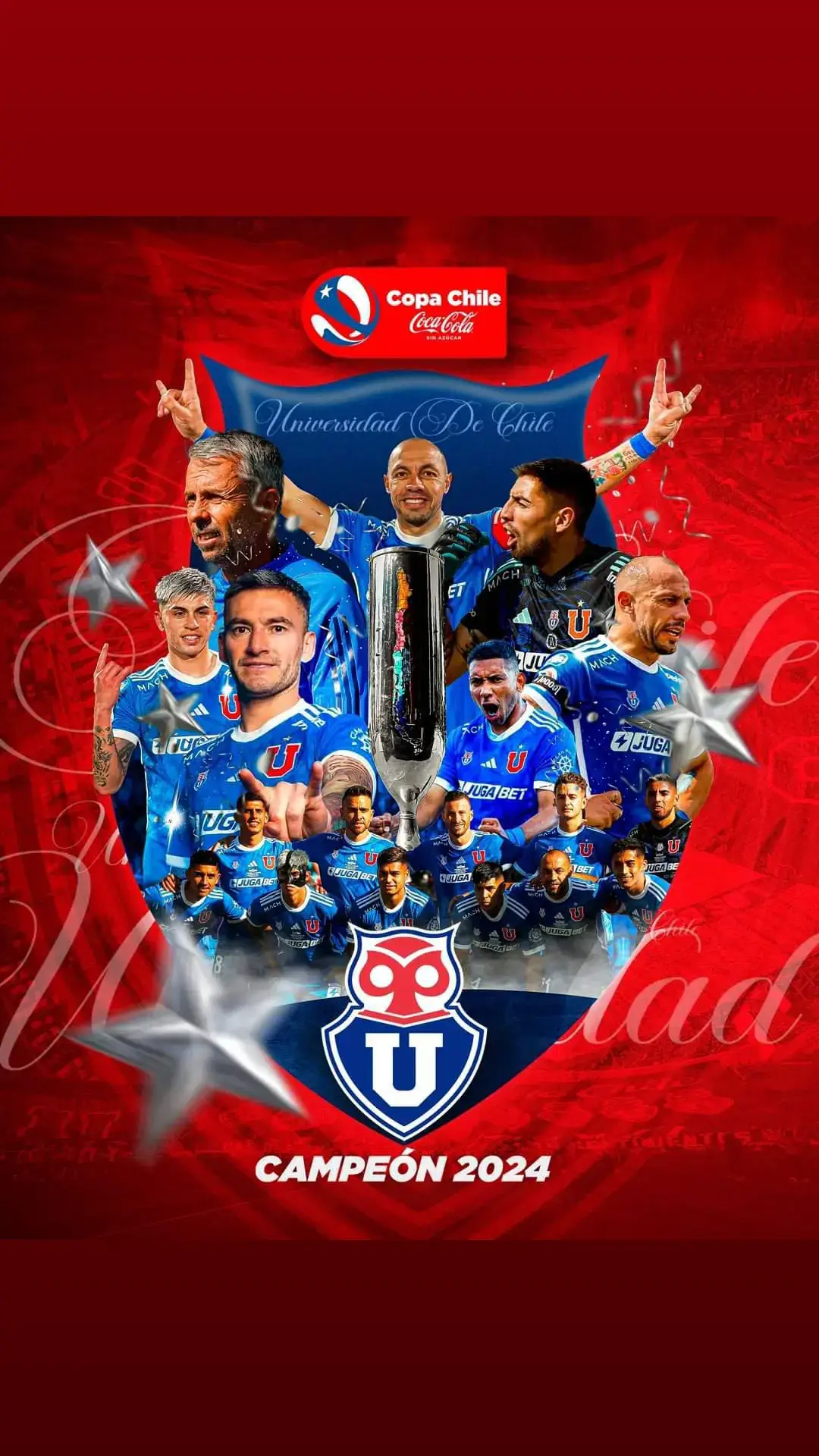 U de Chile Campeón Copa Chile #parati #fyp #udechile #viralvideos #copachile #tik_tok 