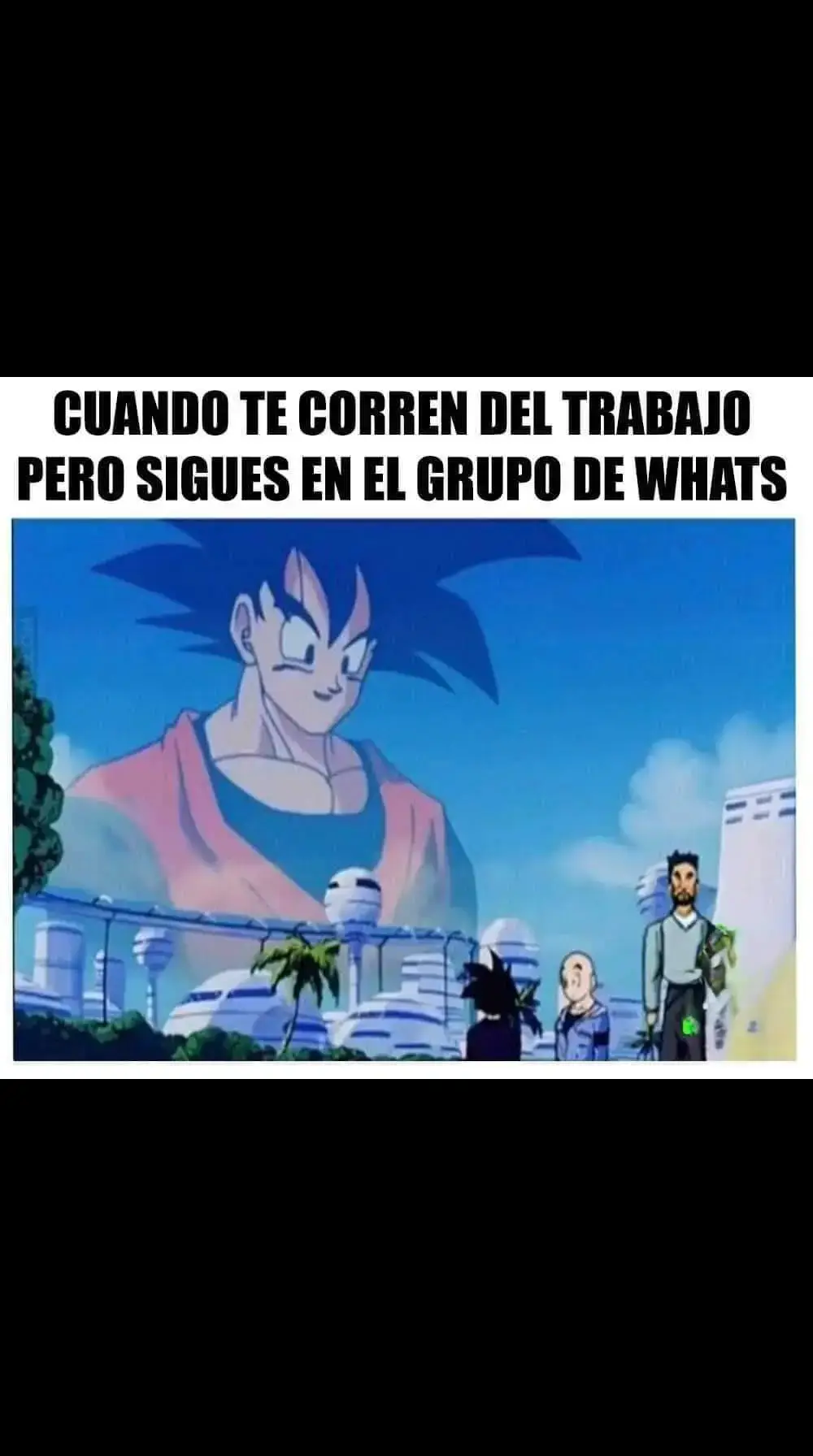 #trabajo #dragonball #gocutapp 