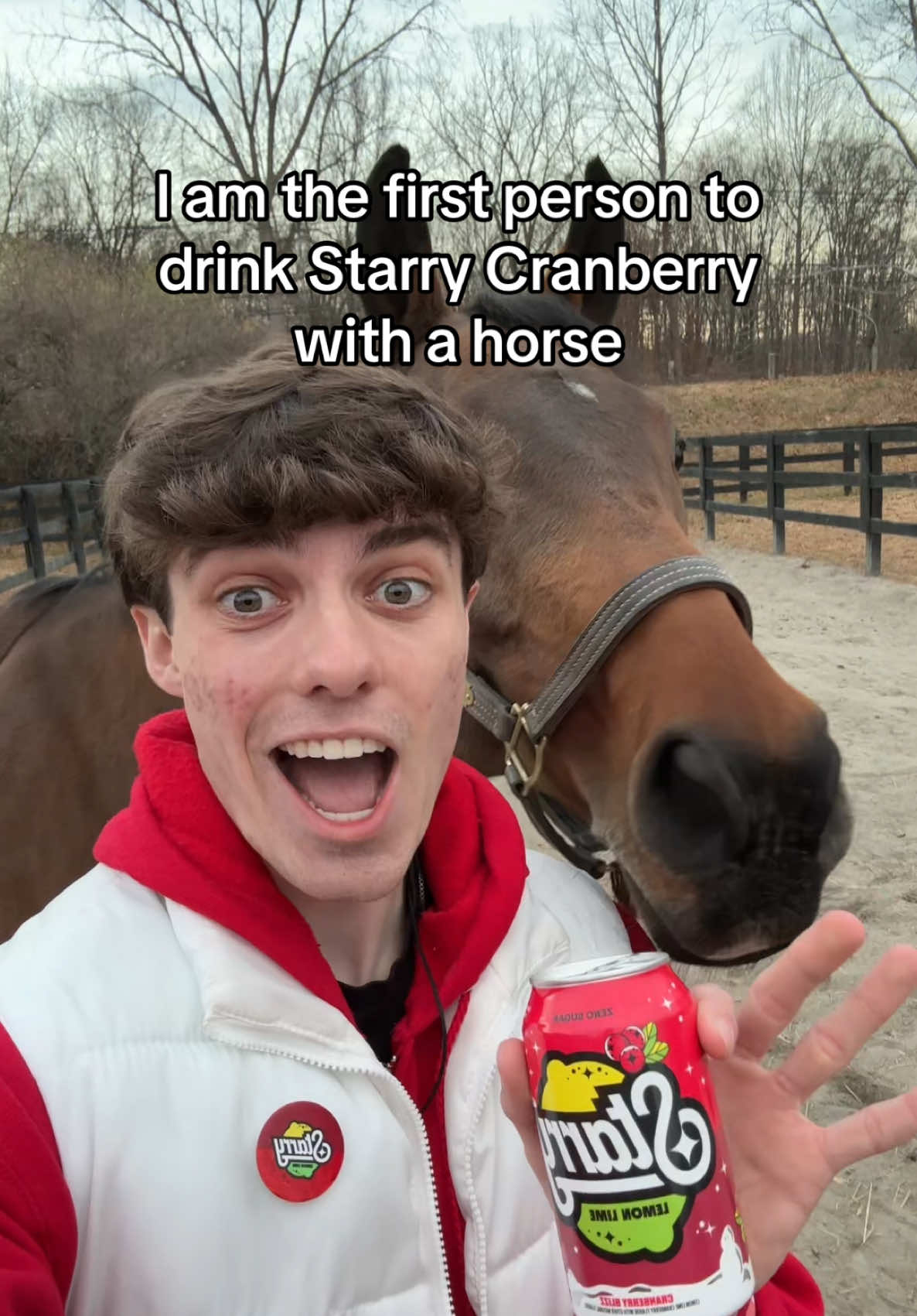 Stop ✋ Don’t ❌ Neigh 🐴🫣 #fyp #horse #okcron #ibelieveincranmas