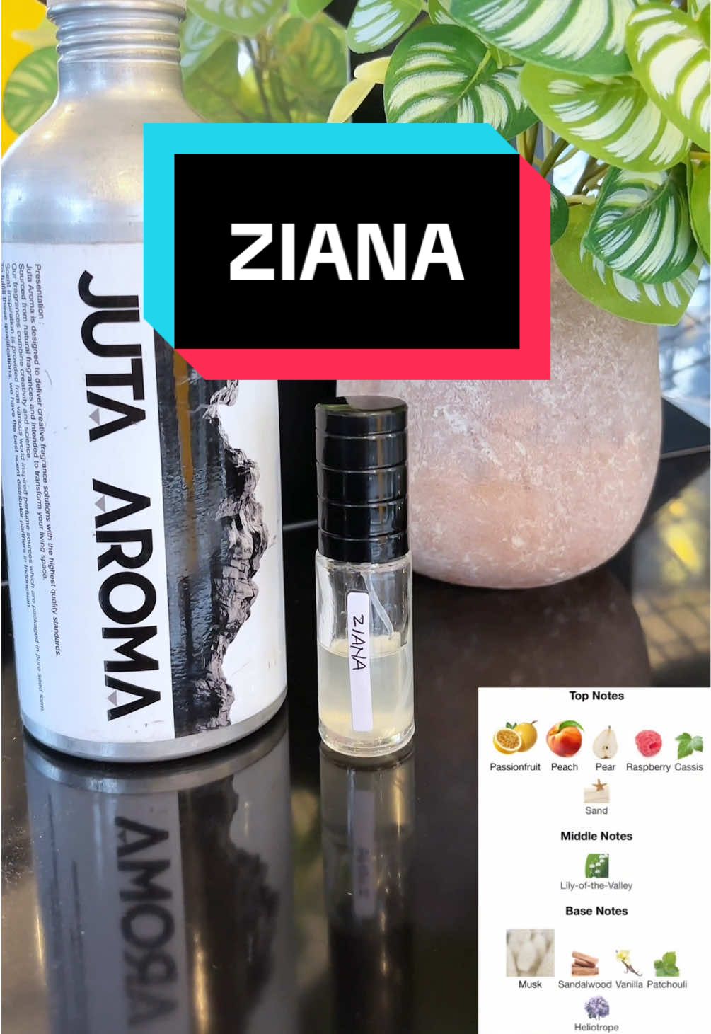 Parfum terbaru dari Juta Aroma dengan aroma fresh woody yang khas. Ziana hadir dengan aroma baru yang siap melengkapi koleksi parfum mu guys. Yang penasaran sama aromanya bisa langsung ke Juta Aroma ya!!!  #review #kirke #parfumlokal #parfummewah #highquality #inspired #infoblitar #parfumtiktok #information #perfumes #fyi #fyppppppppppppppppppppppp 