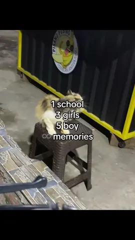 wk