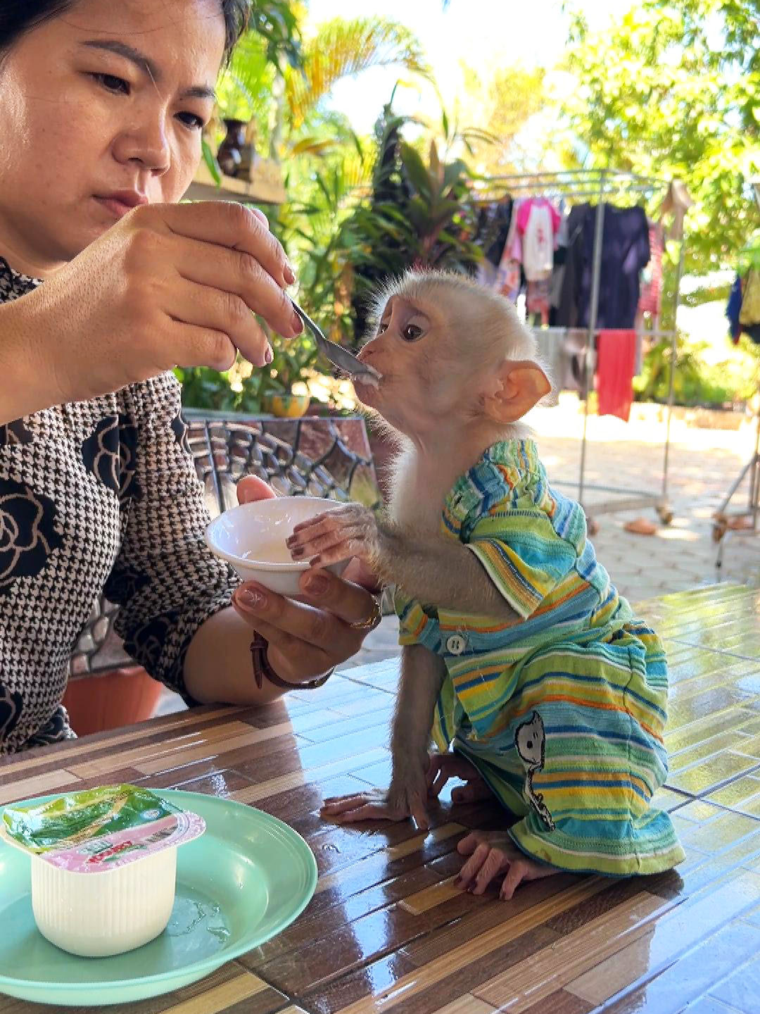 Skillful Maddox Bring Pressure To Bear On His Mom To Feed Him Nutrient-Dense Yogurt