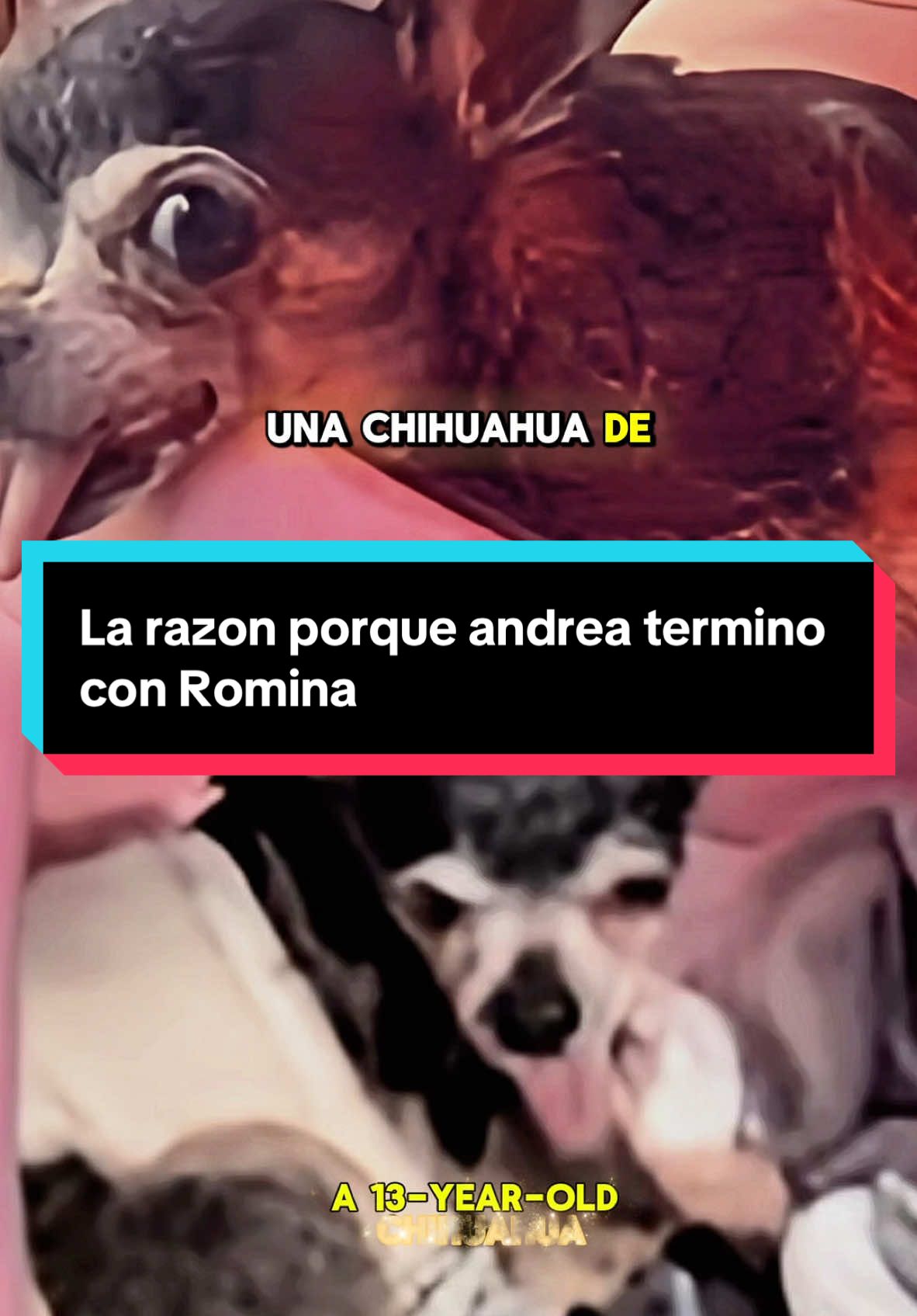 La razon porque andrea termino con Romina #romina #perritaromina #sraandrea #justiciapararomina #paratii 