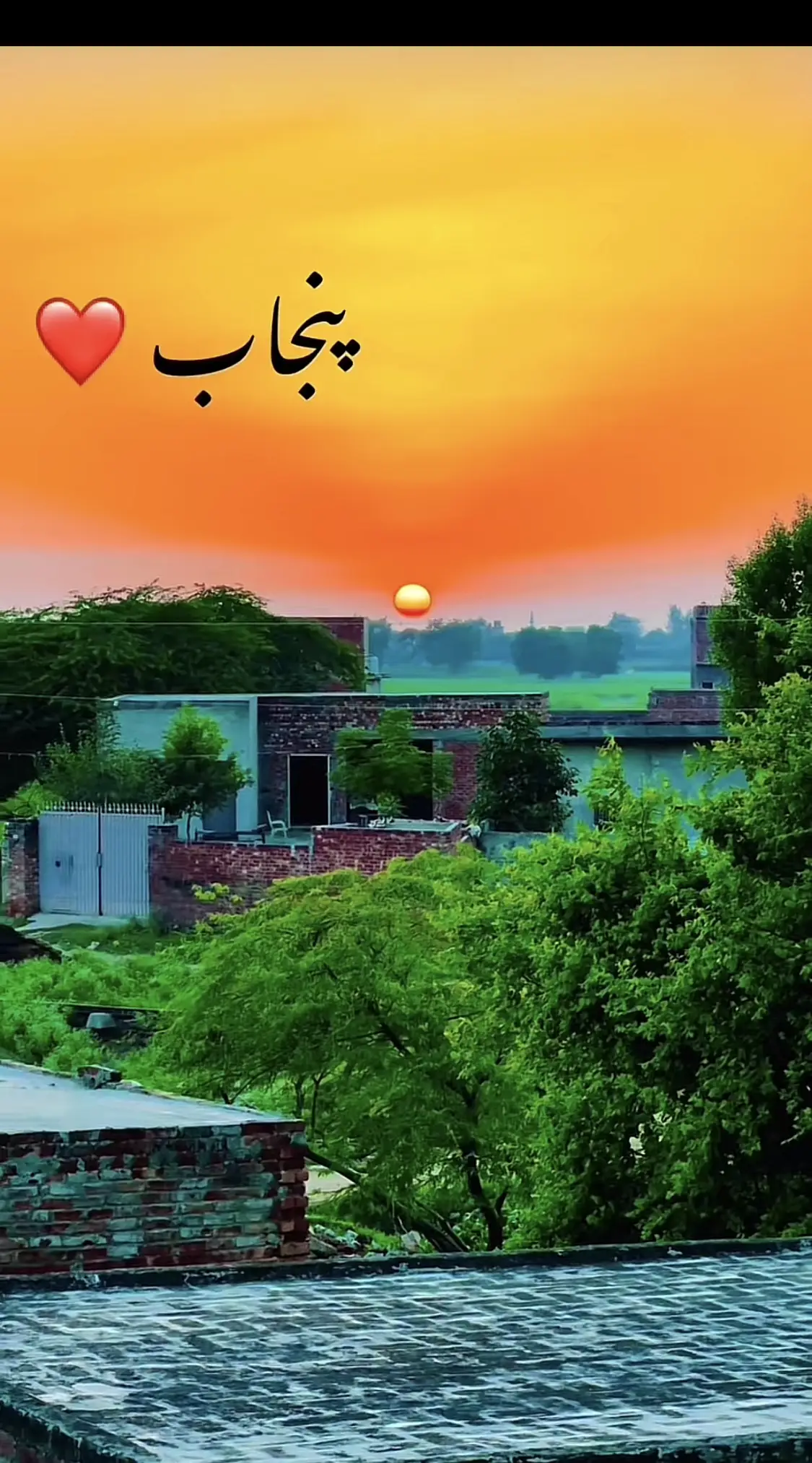 #punjab❤️✨🥀🌴🍁✅🍁🍂 @🦅علی اُسامہ جپہ☠️🖤 @🌾پنڈ کوٹلہ شہزادہ🌷 @💔 @🖤Shumalia. jatti🖤 