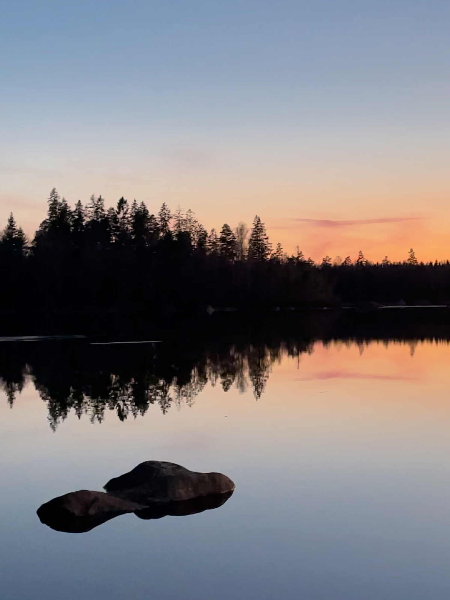 Lake views at sunset #nature #natureview #naturetok #lake #calm #sunset #grounding #sweden