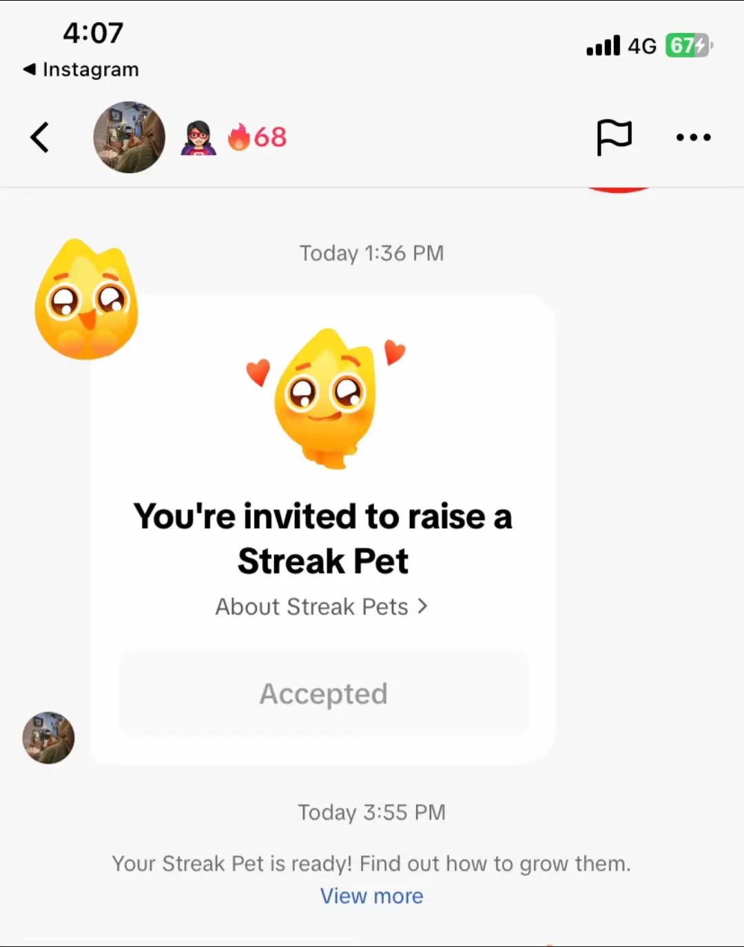 comelll nyaa streak pet 🥹 #streakpet #streaks 