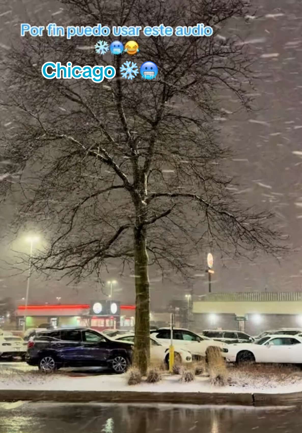 Chicago llego la nieve ❄️🥶 #jesucristo #cierraelrefri #chicago #snow #nieve #usa🇺🇸 #frioooooooo🥶🥶🥶🥶🥶