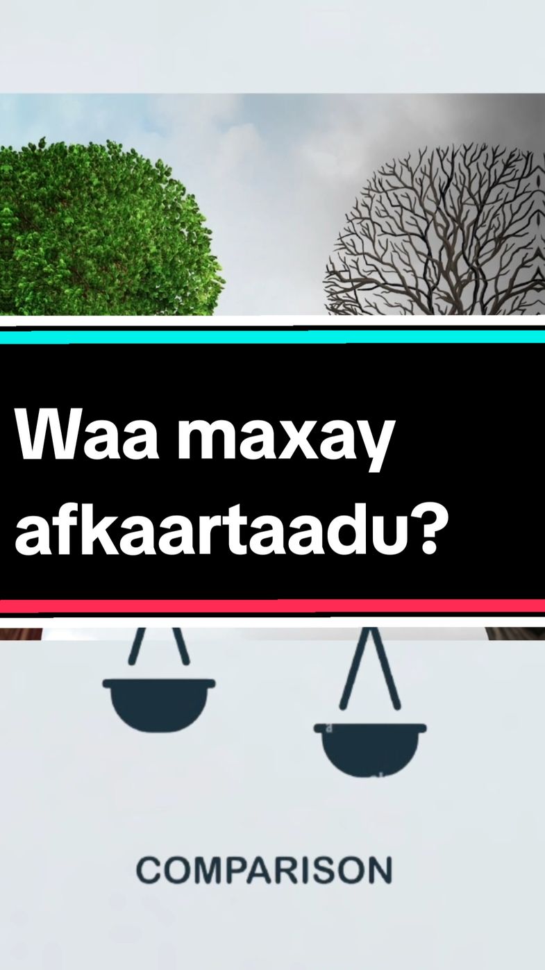 Saddexdaan ka ilaali maskaxdaada. #regret #comparison #fear #victim #challenge #overreacting #selfimage #farhan_bararujiye #somalitiktok #goviral 