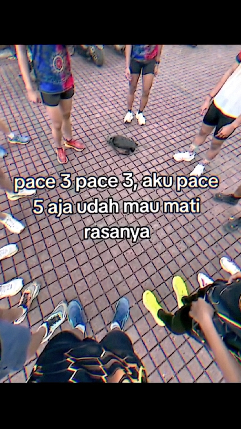 gak kuat pace tiga cuman kuat pace 4 #pacekeong🐌 #binsik #binsikbareng #fyp 