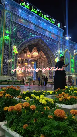 #اسدلبنان#كربلاء_مدينة_العشق_والعاشقين #اكسبلورexplore #السلام_عليك_يا_ابا_الفضل_العباس_ع #السلام_عليك_يااباعبد_الله_الحسين 