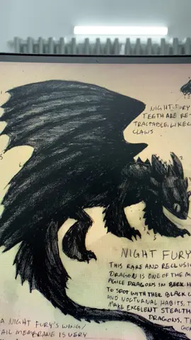 How to train your dragon poster - night fury #nightfury #howtotrainyourdragon #poster #wallart #movie 