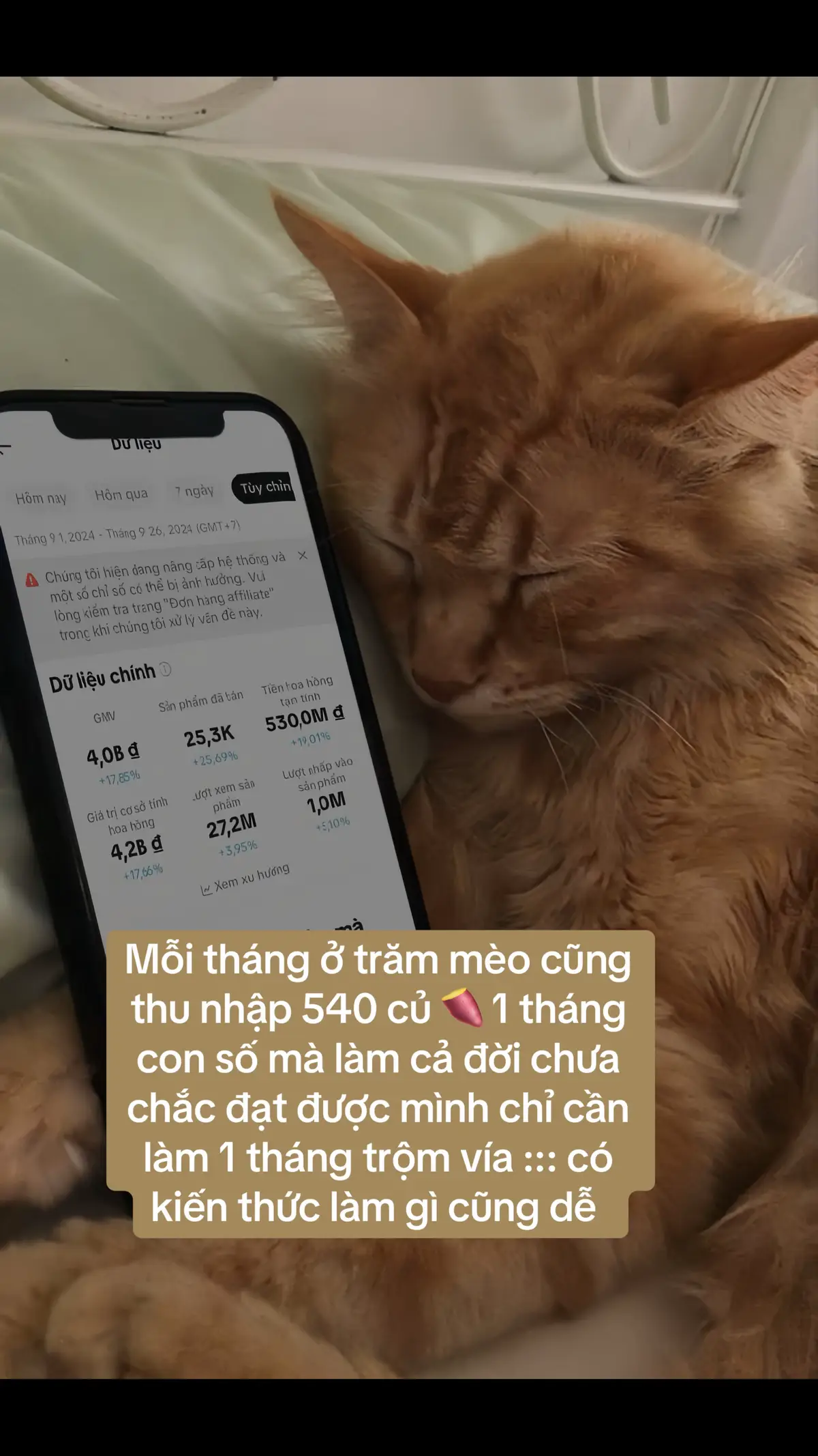 #xuhuongtiktok2024 #affiliatemarketing #vieclamsaophuongbac #LearnOnTikTok #viral 