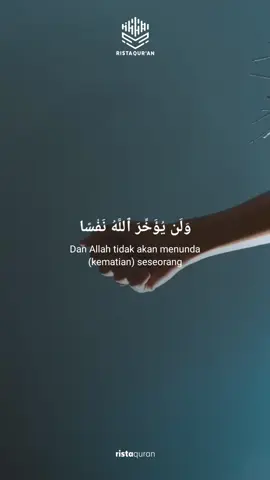 Siapa pun orangnya entah itu presiden, panglima, jendral, raja, jagoan, ataupun pendekar jika sudah datang malaikat maut menghampirinya maka tidak ada yang bisa menghindari kematiannya dan tidak akan tertunda sedikit pun. (Tafsir At-Taysir) _ ___ ♻️ Yuk share konten ini, semoga kita mendapatkan pahala menyebarkan kebaikan. 📥 Gabung Grup WhatsApp : https://bit.ly/TaallamalQuran (Lihat highlight story) _ ___ #murottal #islam #islamicquotes #islamic #islamicquotes #islamicart #islamicvideos #islamicreels #reels #quran #quranquotes #quranverses #quranrecitation #relax #relaxing #adihidayat #abdulsomad #hananattaki #pemudahijrah
